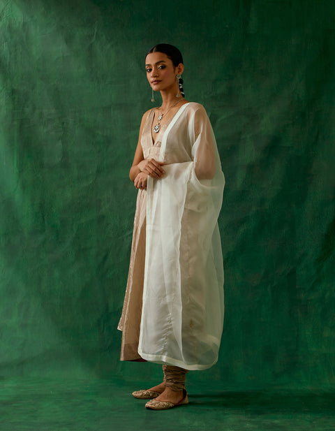 Anarkali Kurta in Beige Gold Zari Silk, Cotton Churidaar with Embroidered Katan Dupatta (Set of 3)