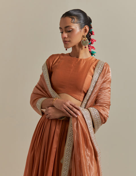 Order Chanderi Skirt Set in Saffron Brown with Zari Striped Dupatta – Vinusto

