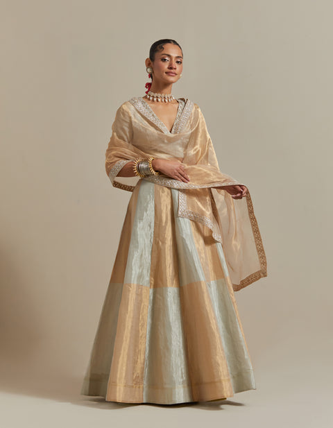 Shop Silver & Gold Zari Silk Skirt with Embroidered Blouse & Tissue Dupatta – Vinusto

