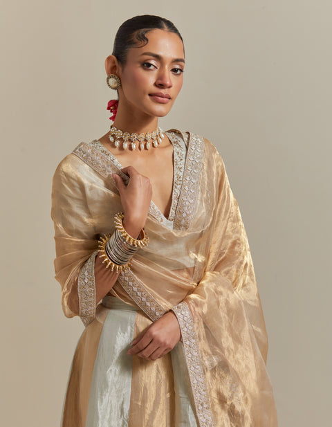 Order Silver & Gold Zari Silk Skirt with Embroidered Blouse & Tissue Dupatta – Vinusto

