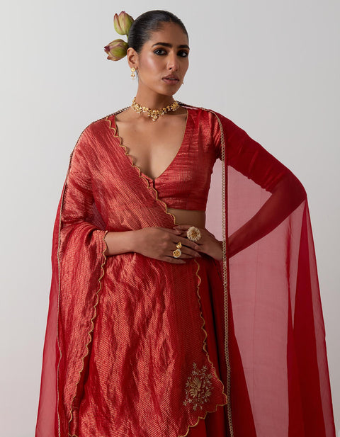 Order Red Embroidered Chanderi Lehenga Set | Vinusto