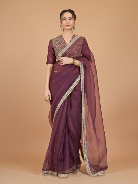 Chanderi Organza Silk Saree with lace details & Embroidered Blouse (Set of 2)