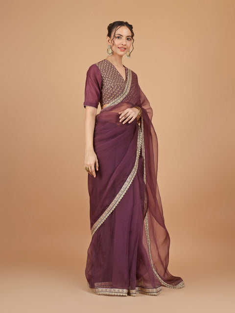 Chanderi Organza Silk Saree with lace details & Embroidered Blouse (Set of 2)