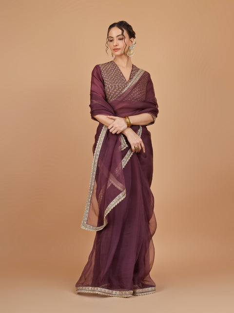 Chanderi Organza Silk Saree with lace details & Embroidered Blouse (Set of 2)