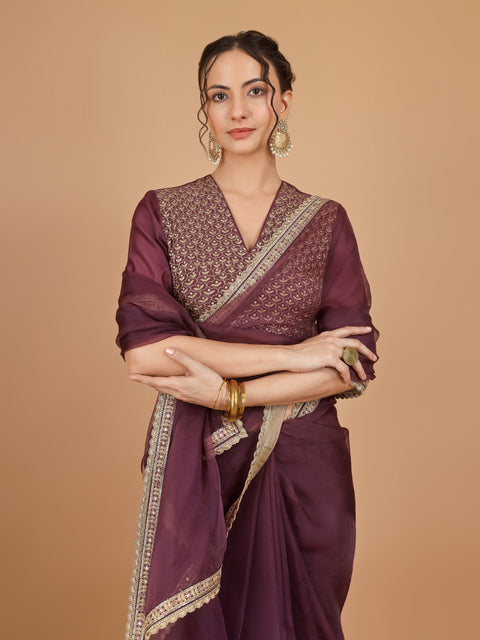 Chanderi Organza Silk Saree with lace details & Embroidered Blouse (Set of 2)