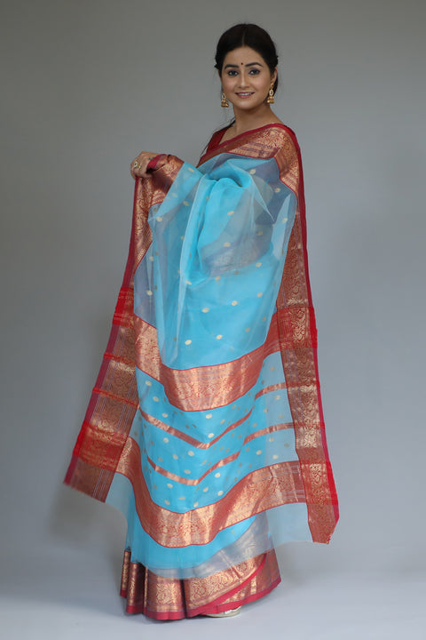 Buy Chanderi Silk Sari in Electric Blue & Red – Vinusto

