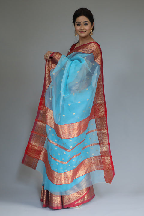 Chanderi Hand Loom Silk Sari in Electric Blue & Red