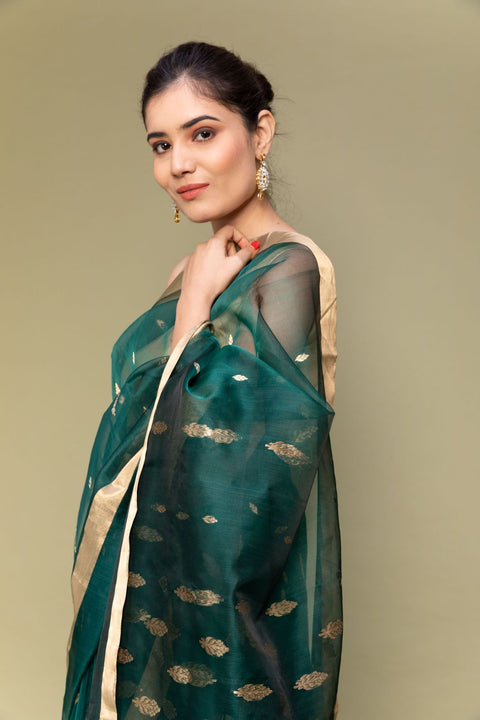 Luxury Emerald Green Handloom Silk Saree with Parallel Line Borders

