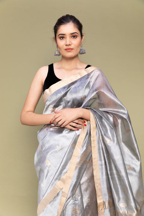 Silver Grey Handloom Silk Saree with Parallel Line Borders