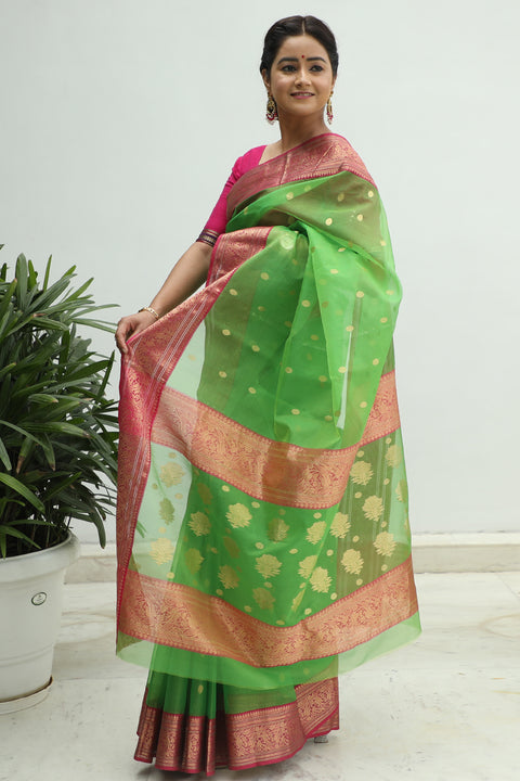 Premium Chanderi Silk Sari in Apple Green & Pink – Vinusto

