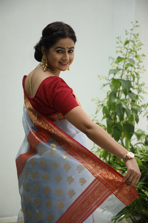 Order Chanderi Silk Sari in Blue, Grey & Red – Vinusto

