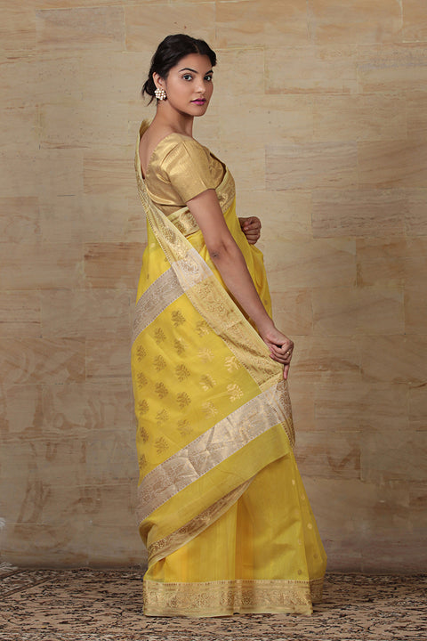 Luxury Chanderi Mercerized Silk Saree in Yellow & Off-White – Vinusto

