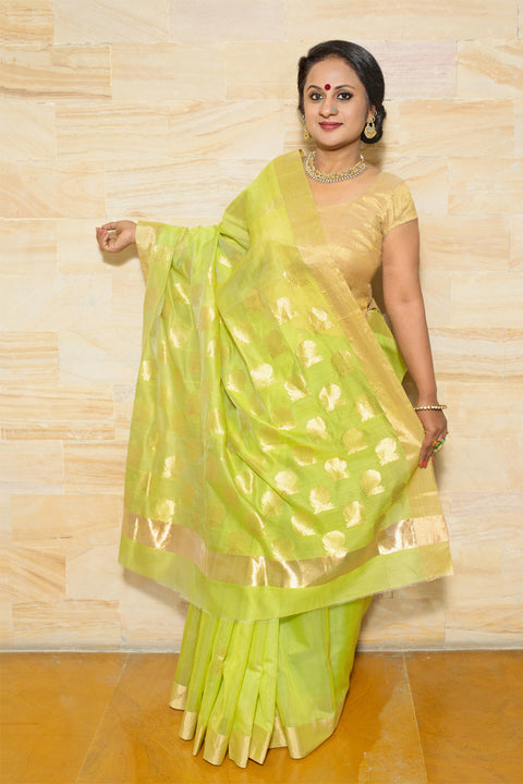 Shop Chanderi Mercerized Silk Saree in Light Green | Handloom Sarees

