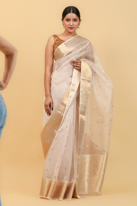 Order Beige & Gold Handwoven Katan Silk Saree with Jacquard Border & Motifs - Vinusto


