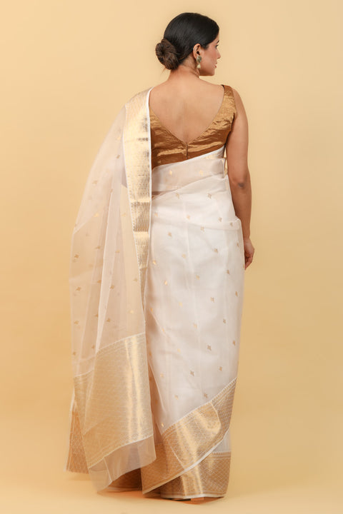 Premium Beige & Gold Handwoven Katan Silk Saree with Jacquard Border & Motifs - Vinusto

