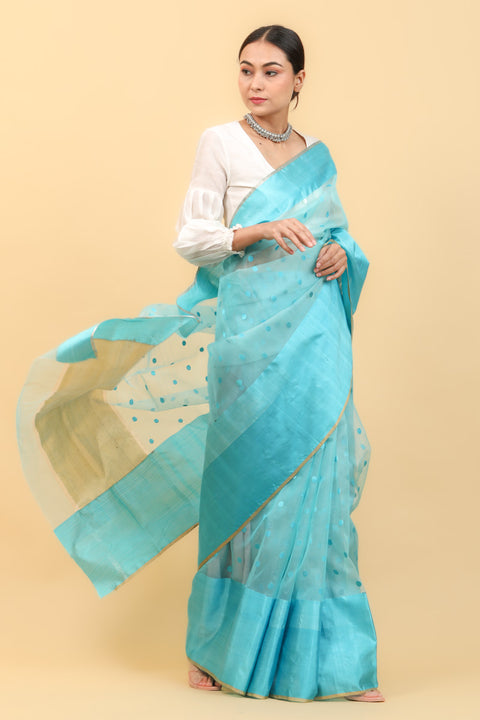 Shop Sky Blue Handwoven Katan Silk Saree with Blue Motifs & Broad Border - Vinusto

