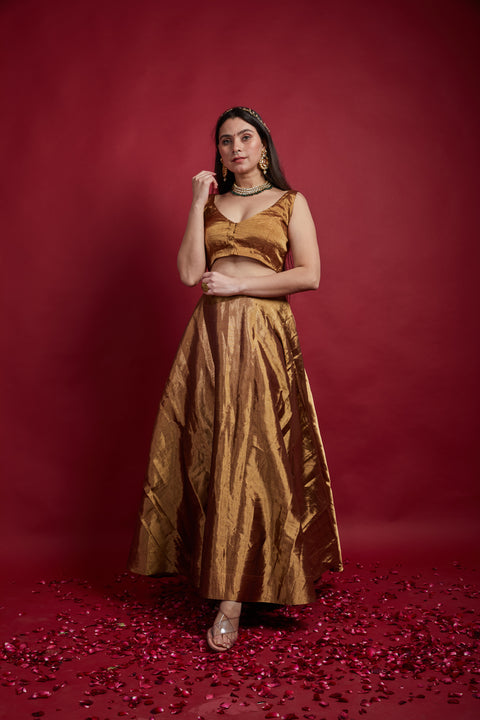 Designer Gold Zari Lehenga With V Neck Blouse In Handloom (Set Of 2) - By Vinusto
