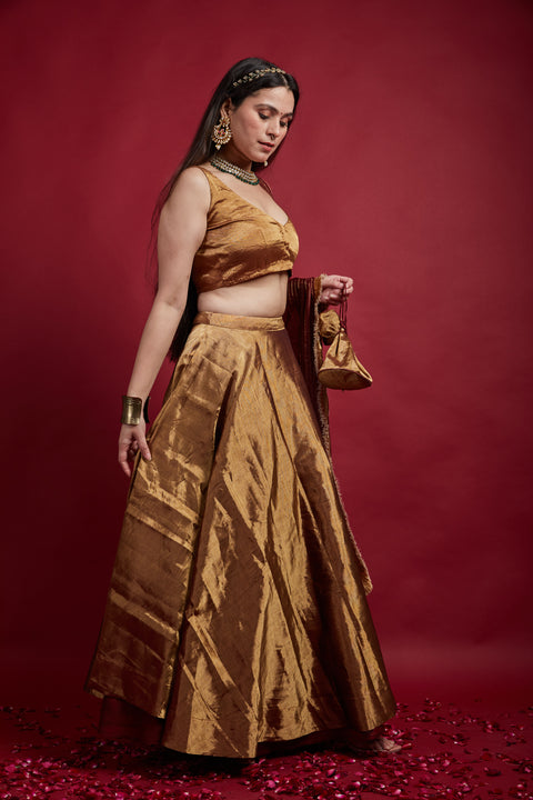 Shop Gold Zari Lehenga With V Neck Blouse In Handloom (Set Of 2)at Best Price online - By Vinusto